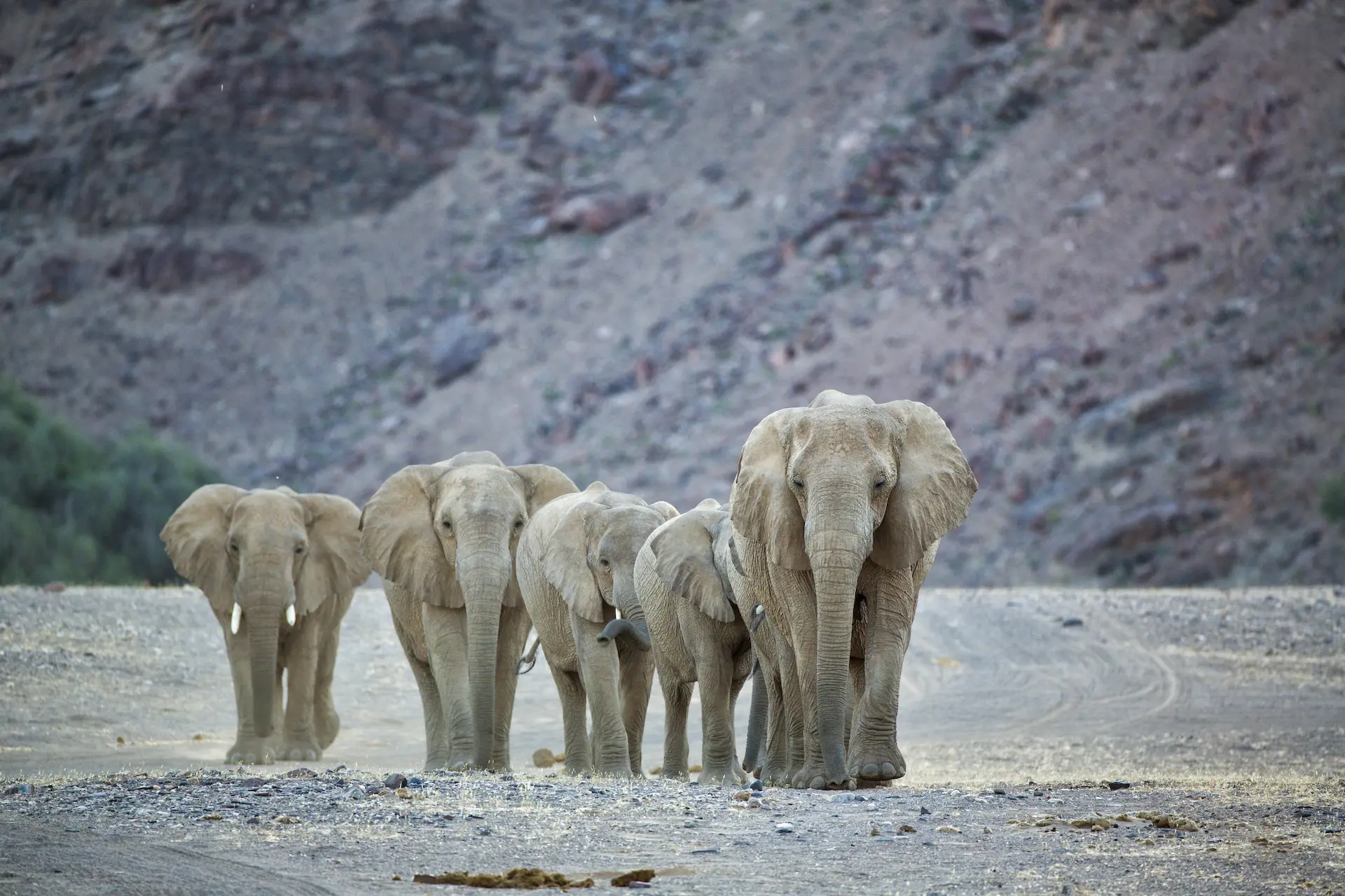 Namibia