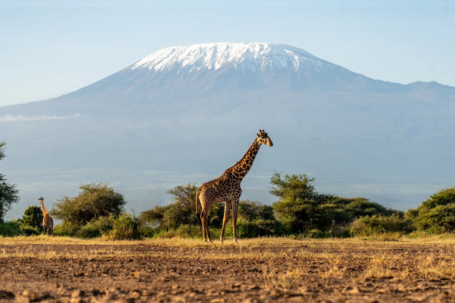Kenya
