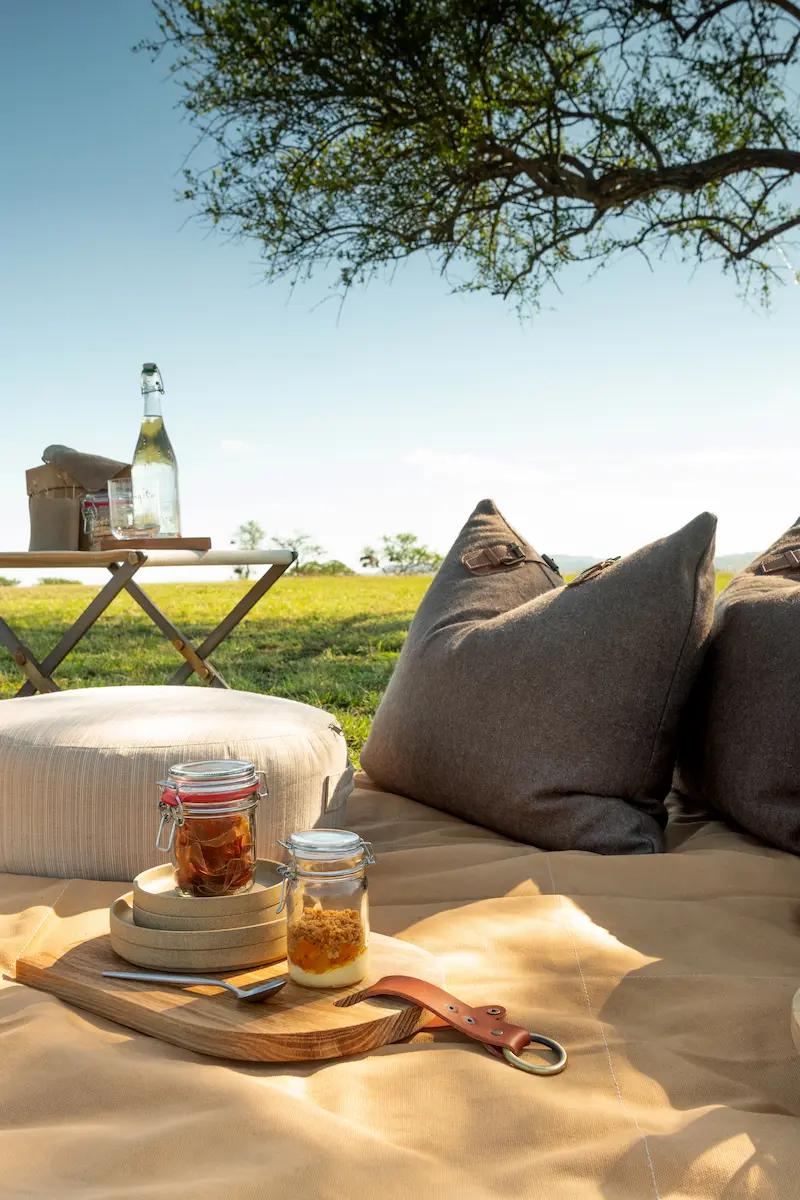 Singita Sabora Tented Camp_Picnic_Ross Couper (1)